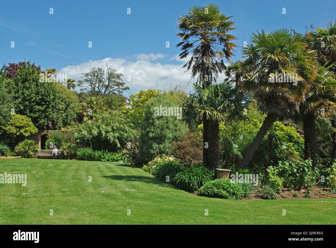 Les jardins subtropicaux d'Abbotsbury, un jardin de 18th ans célèbre pour ses plantes rares, ses magnolias et ses camélias, à Abbotsbury, Dorset, Royaume-Uni Banque D'Images