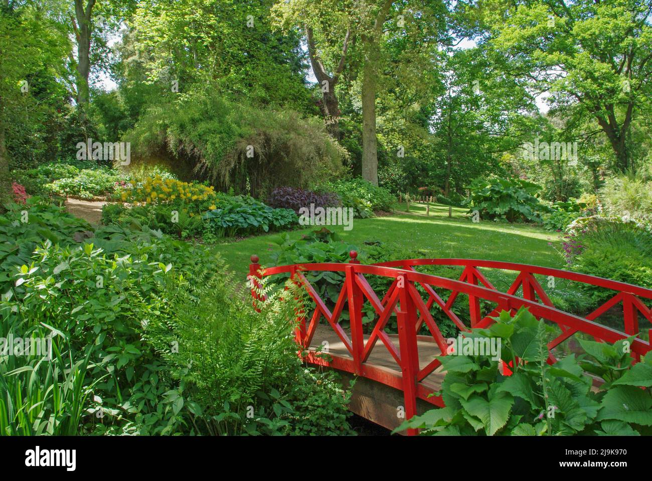 Les jardins subtropicaux d'Abbotsbury, un jardin de 18th ans célèbre pour ses plantes rares, ses magnolias et ses camélias, à Abbotsbury, Dorset, Royaume-Uni Banque D'Images
