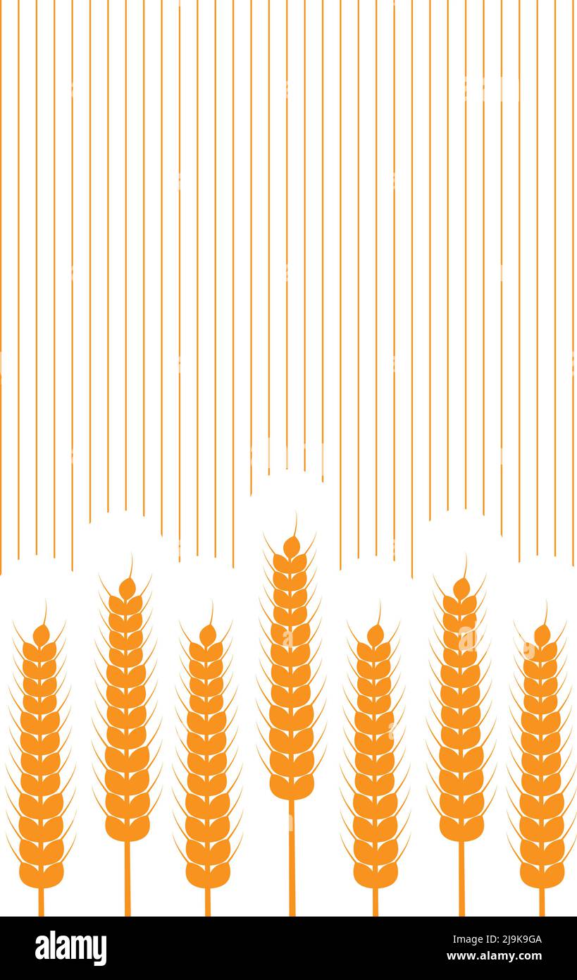 Épis de blé et rayures sur fond blanc. Illustration vectorielle. Style simple. Illustration de Vecteur