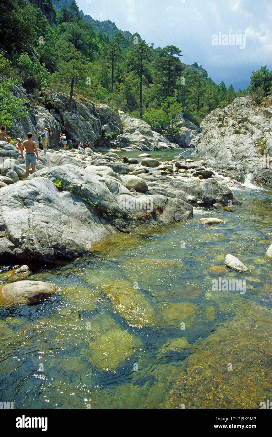 Ruisseau avec des blocs de granit à la vallée de l'Asco, Corse, France, Mer méditerranée, Europe Banque D'Images
