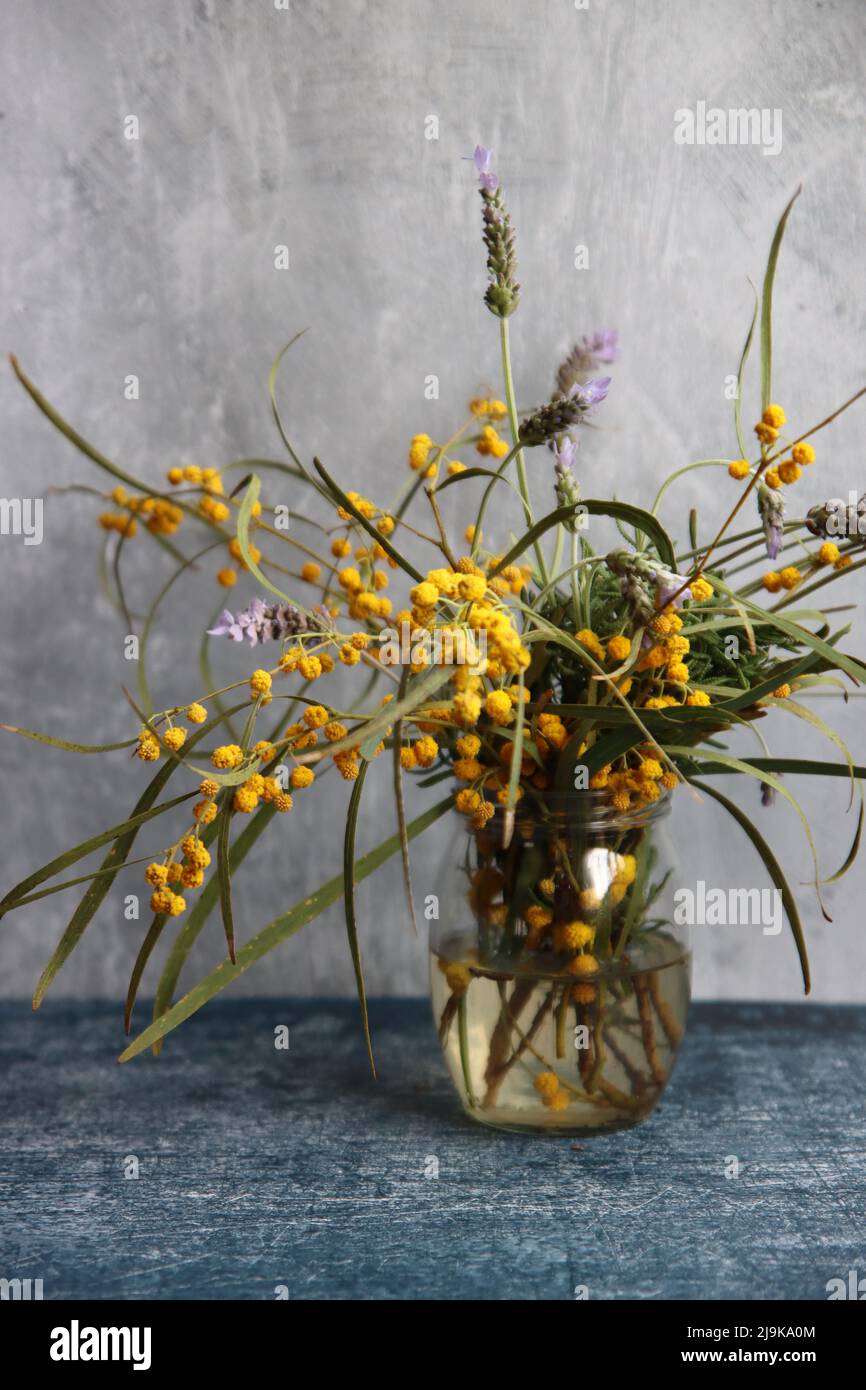 Fleurs printanières dans un pot en verre. Composition simple encore la vie avec des fleurs d'acacia et de lavande. Arrière-plan gris clair avec espace de copie. Banque D'Images