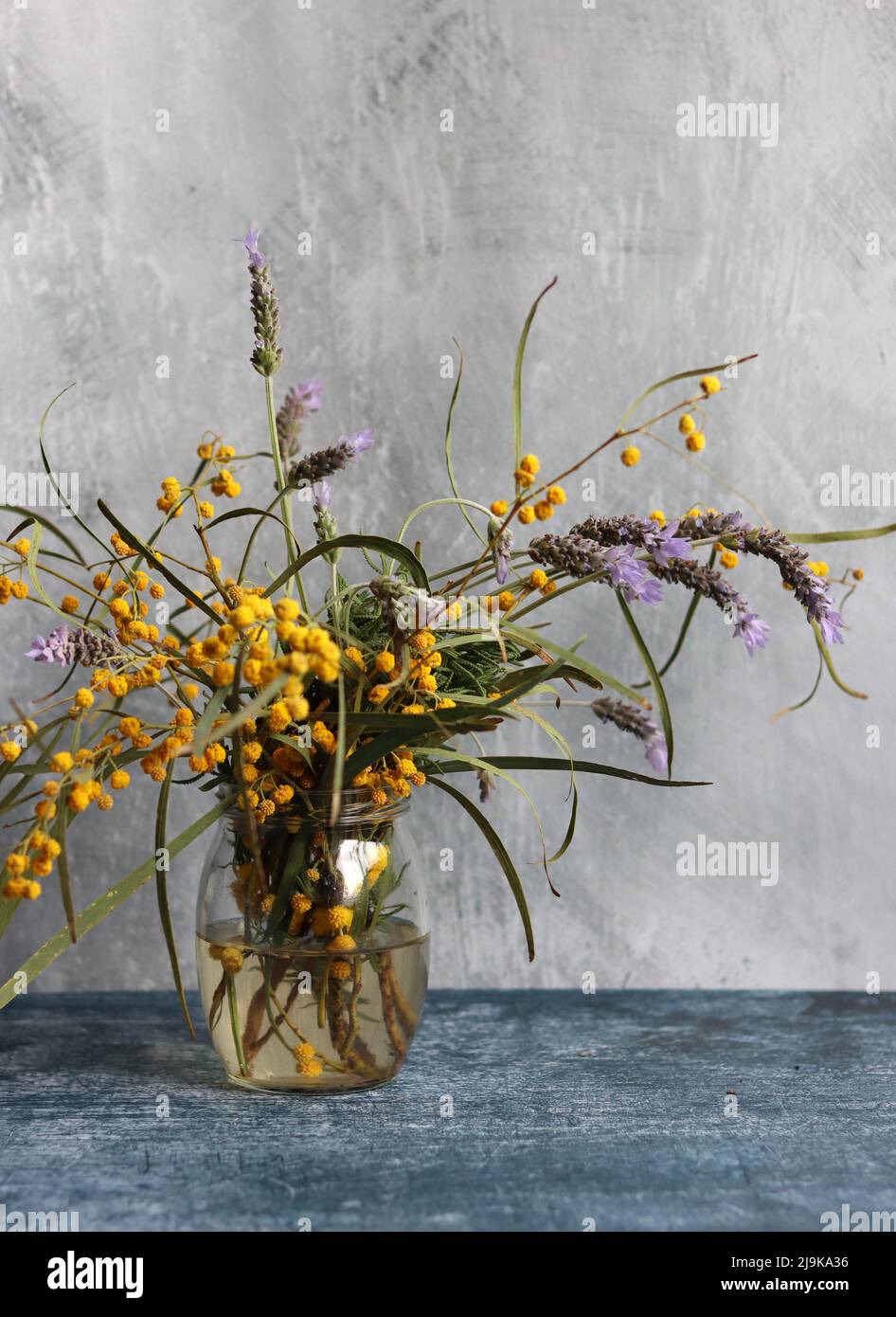 Fleurs printanières dans un pot en verre. Composition simple encore la vie avec des fleurs d'acacia et de lavande. Arrière-plan gris clair avec espace de copie. Banque D'Images