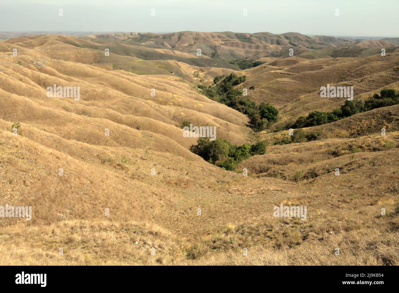 Une vue sur les prairies sèches sur le paysage vallonné pendant la saison sèche sur la colline de Wairinding, une attraction touristique populaire à Wairinding, Pambotanjara, Waingapu, East Sumba, East Nusa Tenggara, Indonésie. Banque D'Images