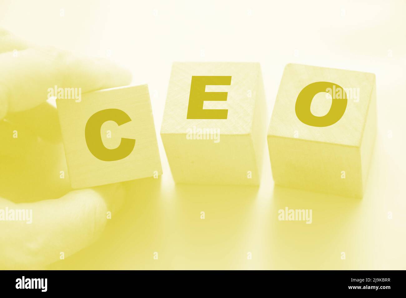PDG sur cubes en bois.Directeur général. Concept de gestion d'entreprise. Banque D'Images