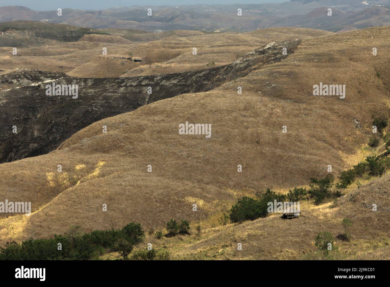 Une vue sur les prairies sèches sur le paysage vallonné pendant la saison sèche sur la colline de Wairinding, une attraction touristique populaire à Wairinding, Pambotanjara, Waingapu, East Sumba, East Nusa Tenggara, Indonésie. Banque D'Images