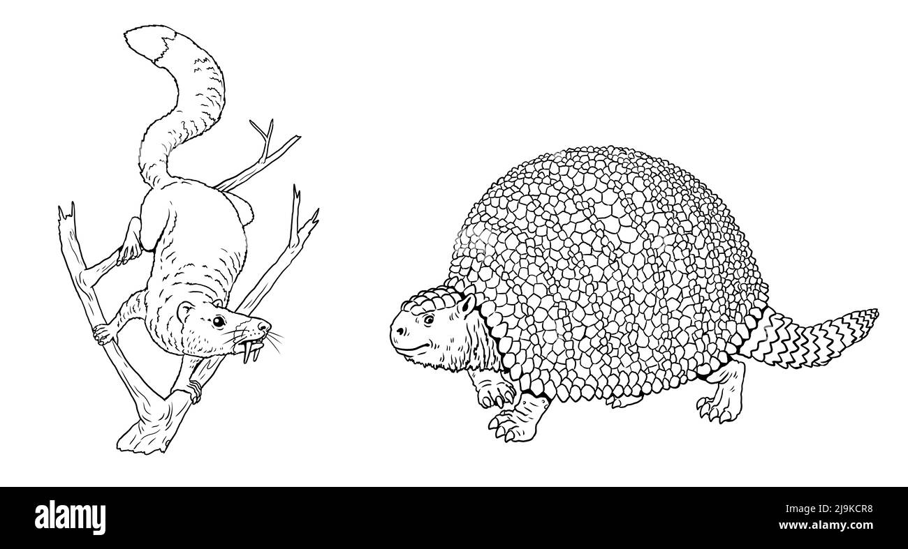 Animaux préhistoriques - écureuil saboté et glyptodon. Dessin avec des mammifères éteints. Dessin de silhouette pour livre de coloriage. Banque D'Images