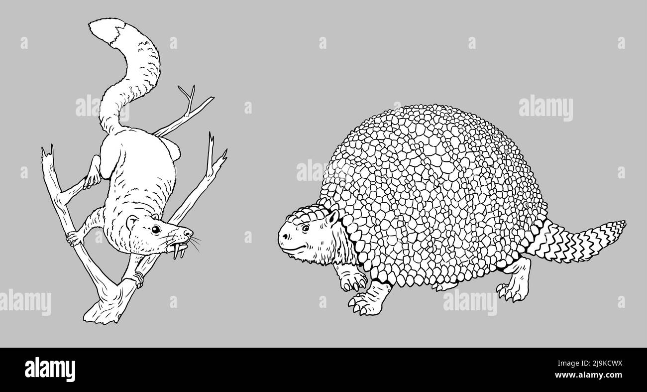 Animaux préhistoriques - écureuil saboté et glyptodon. Dessin avec des mammifères éteints. Dessin de silhouette pour livre de coloriage. Banque D'Images