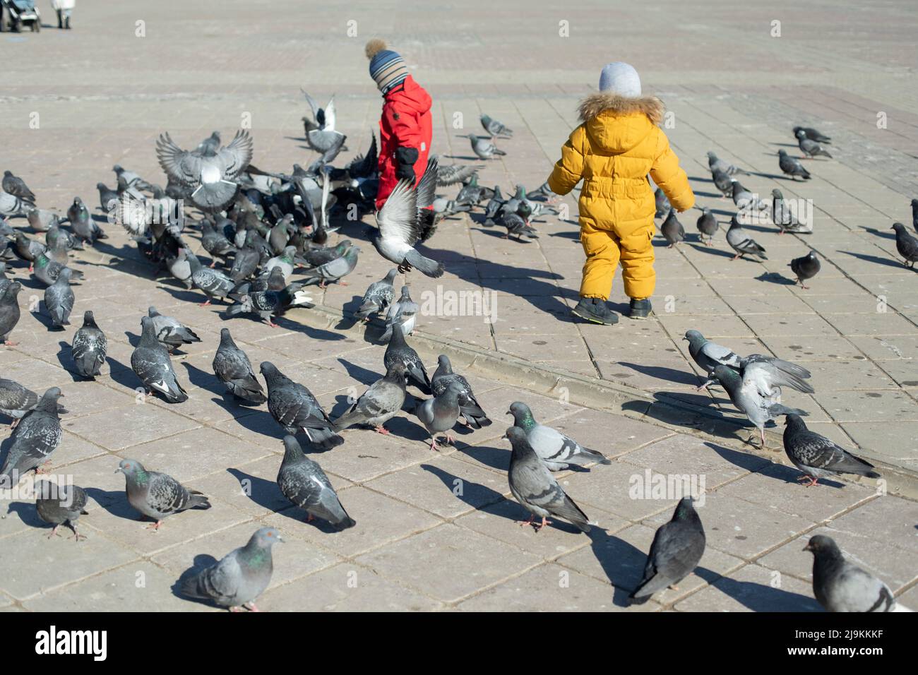 Enfants et pigeons. Les enfants jouent avec les oiseaux sur la place. Pigeons en ville. Banque D'Images