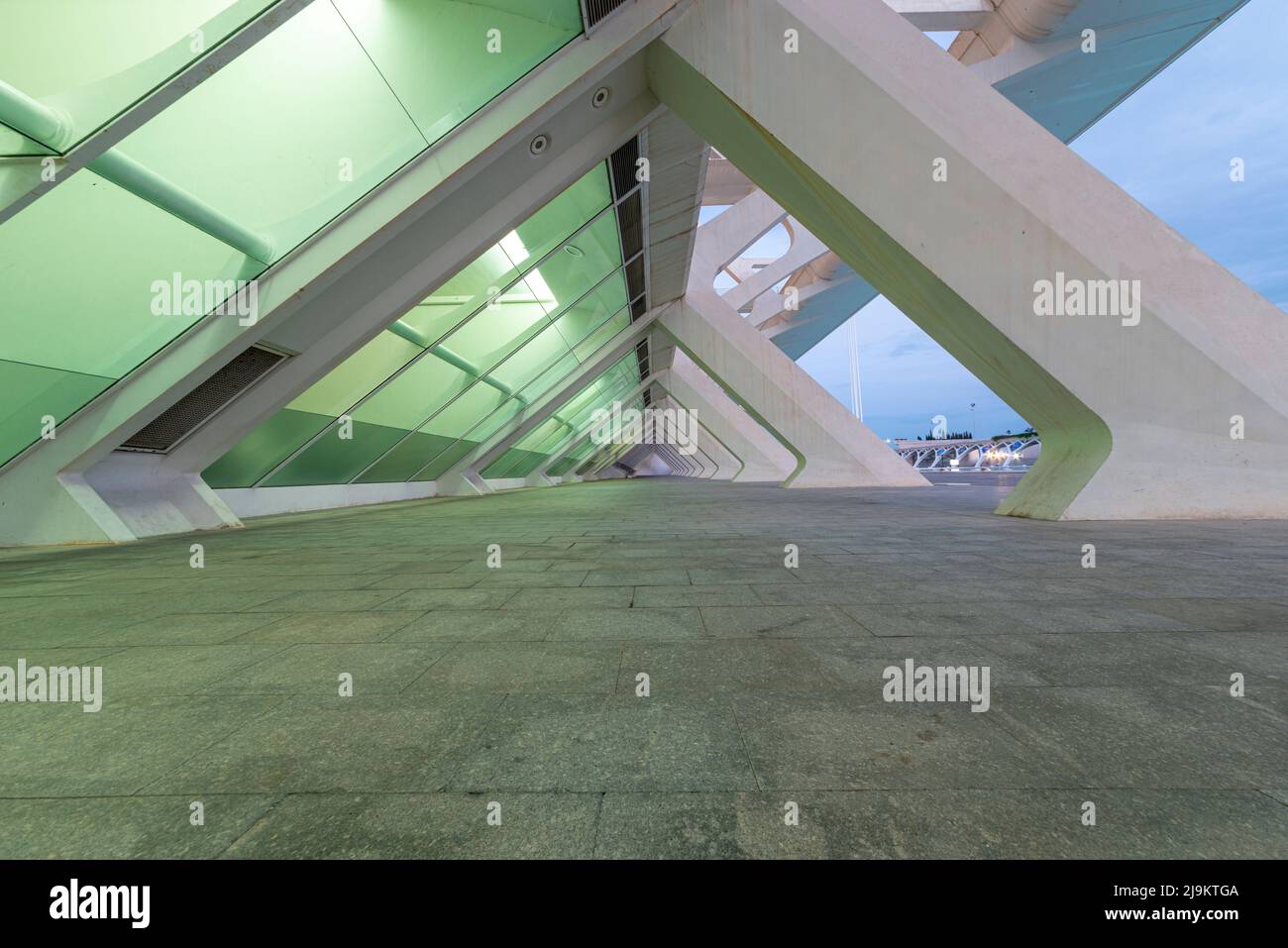 L'extérieur du musée des sciences de Valence en Espagne. Banque D'Images