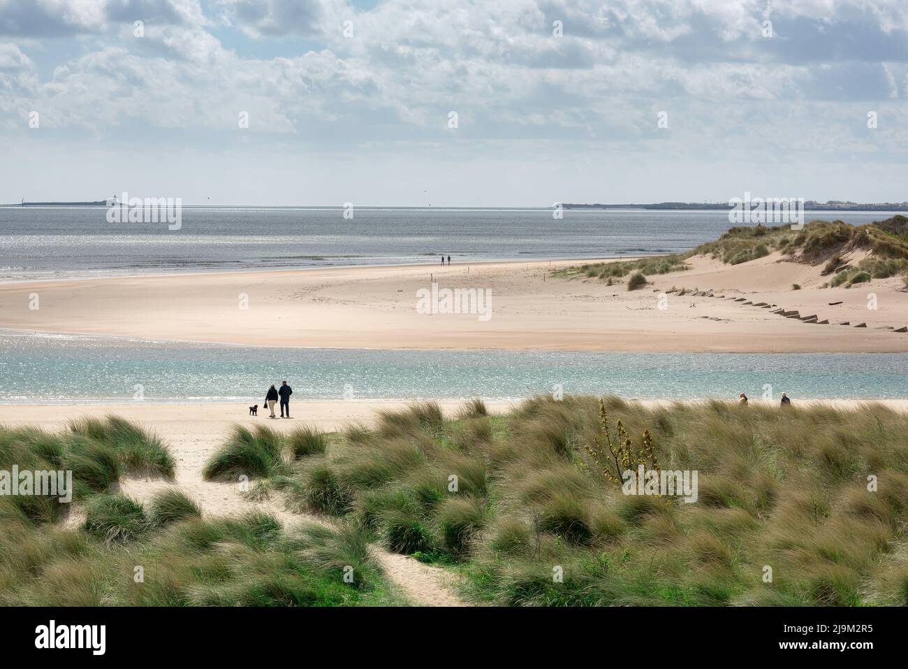 Alnmouth Northumberland, vue à la fin du printemps d'un couple qui marche son chien sur une étendue déserte de plage de sable à Alnmouth, sur la côte de Northumberland, au Royaume-Uni Banque D'Images
