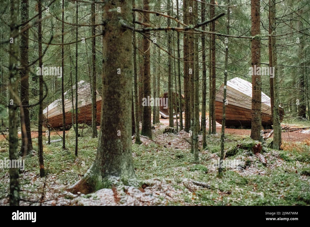 De gigantesques mégaphones en bois amplifient les sons de la forêt à Pähni, dans le comté de Võru, en Estonie. Les mégaphones forestiers sont une installation composée de trois mégaphones géants en bois où les sons de la nature peuvent être écoutés de manière amplifiée. Banque D'Images
