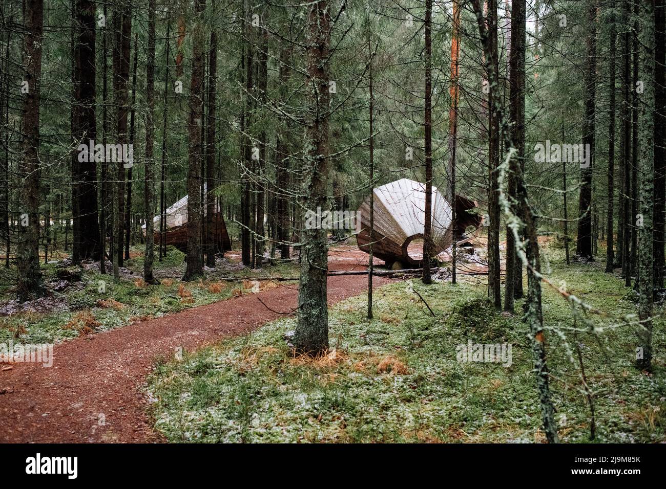 De gigantesques mégaphones en bois amplifient les sons de la forêt à Pähni, dans le comté de Võru, en Estonie. Les mégaphones forestiers sont une installation composée de trois mégaphones géants en bois où les sons de la nature peuvent être écoutés de manière amplifiée. Banque D'Images