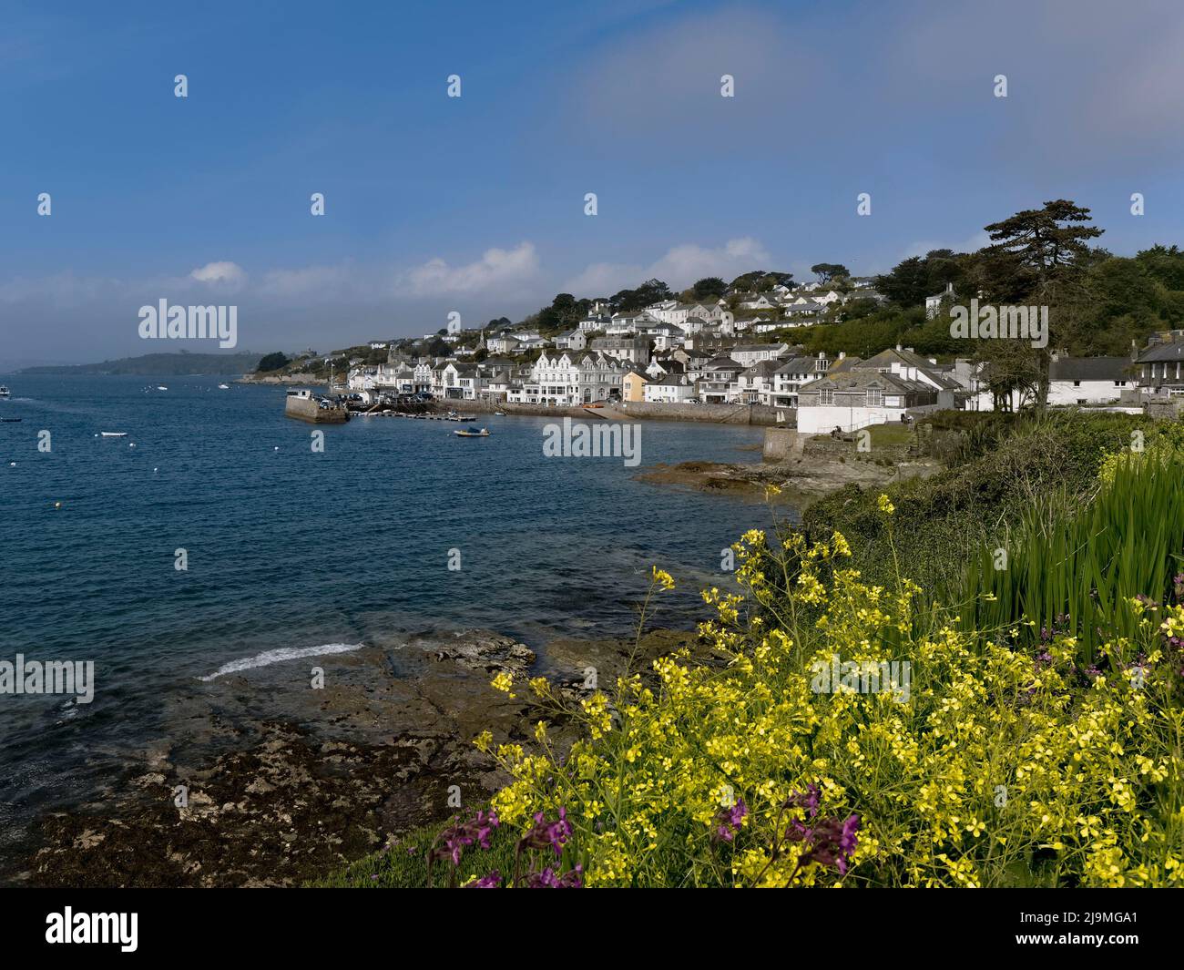 St. Mawes, Cornwall, Royaume-Uni Banque D'Images