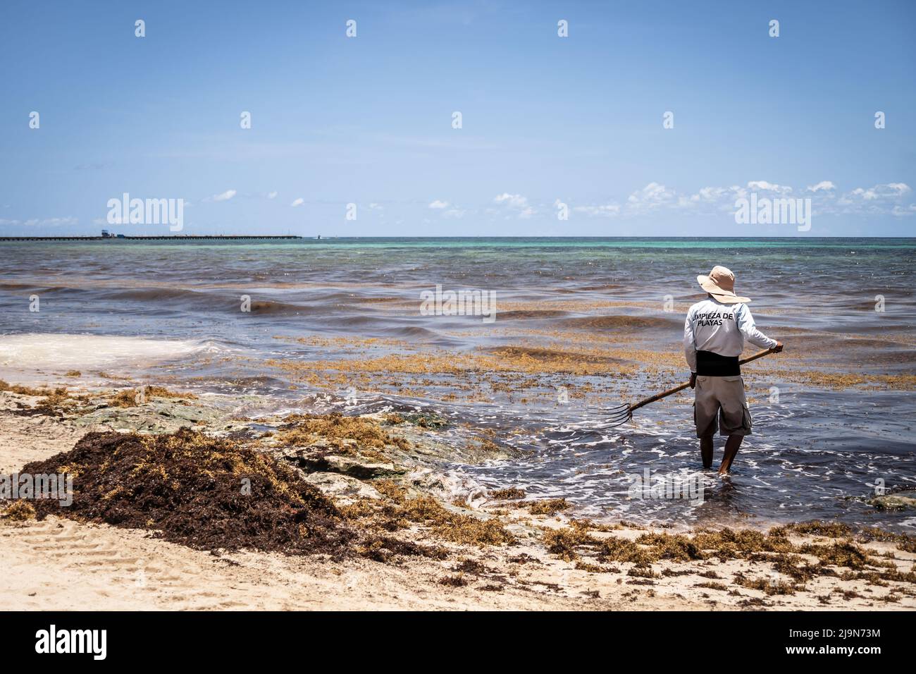 Très dégoûtant algues rouges Sargazo plage Playa del Carmen Mexique Banque D'Images