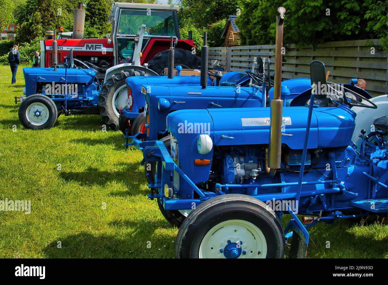 Des tracteurs bleu vintage lors d'un salon automobile classique à Uithuizen, Groningen, pays-Bas. Banque D'Images