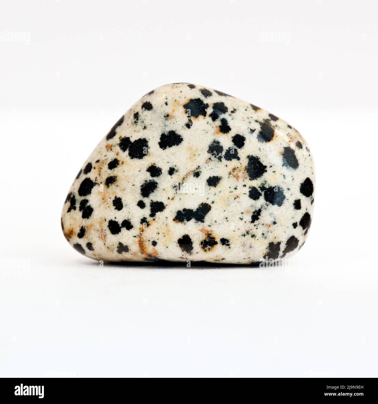 Macro gros plan photo couleur d'un ' Dalmatian Jasper ' poli ' une pierre précieuse semi-précieuse de cristal utilisée dans la thérapie de guérison de cristal Banque D'Images