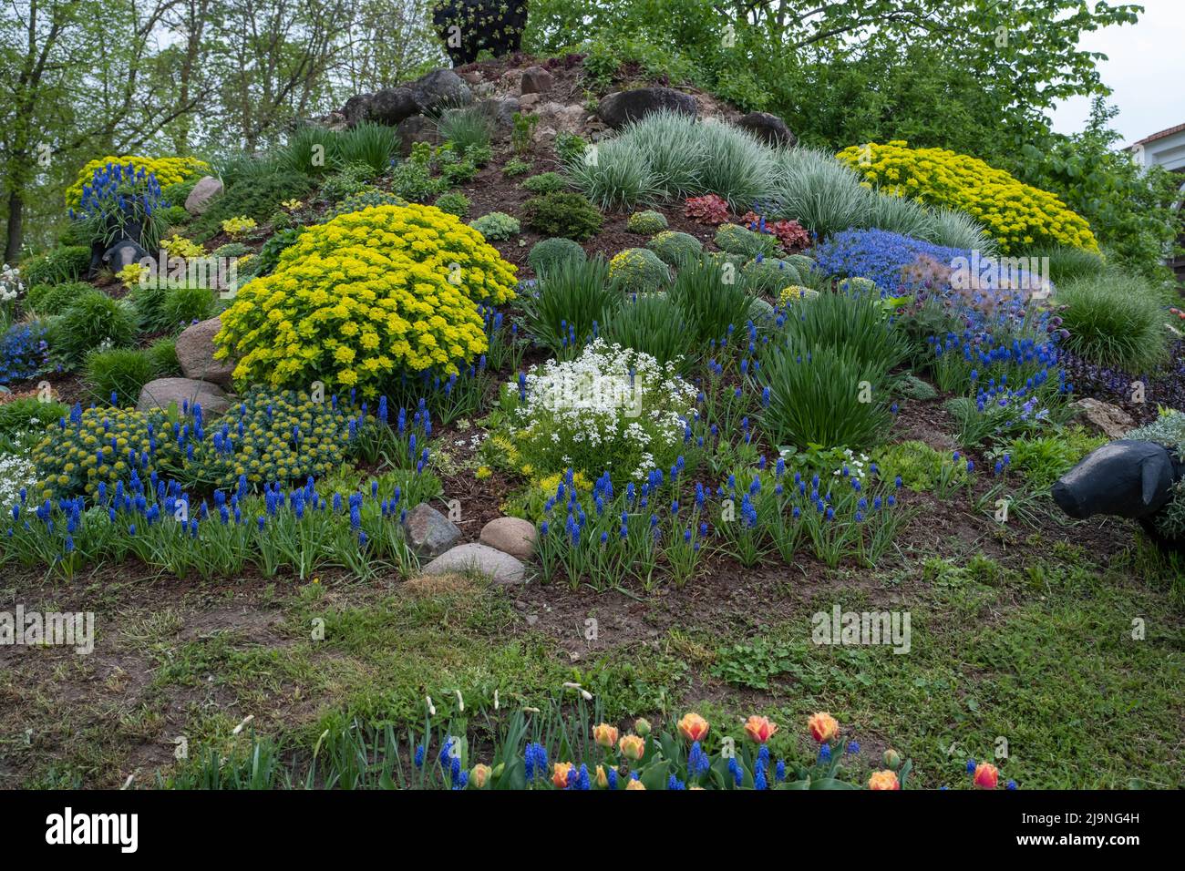 Jardin d'été paysagé avec plantes vertes, rochers, différentes fleurs dans des parterres de fleurs Banque D'Images