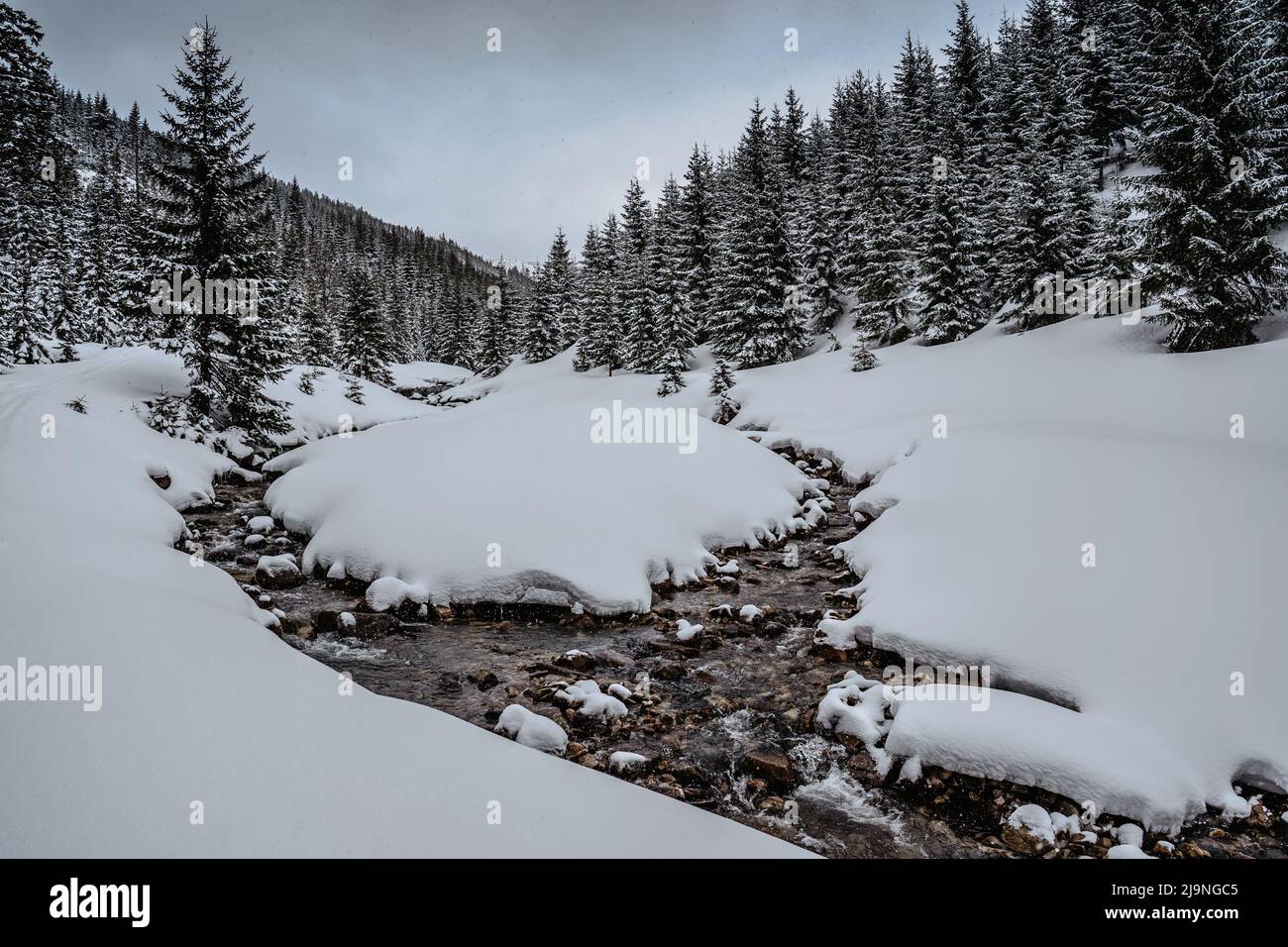 Rivière d'hiver dans les montagnes de Krkonose près de Spindleruv Mlyn,République Tchèque.Snowy paysage gelé.ruisseau sauvage, sérénité, Voyage dans le dos, randonnée dans la N Tchèque Banque D'Images
