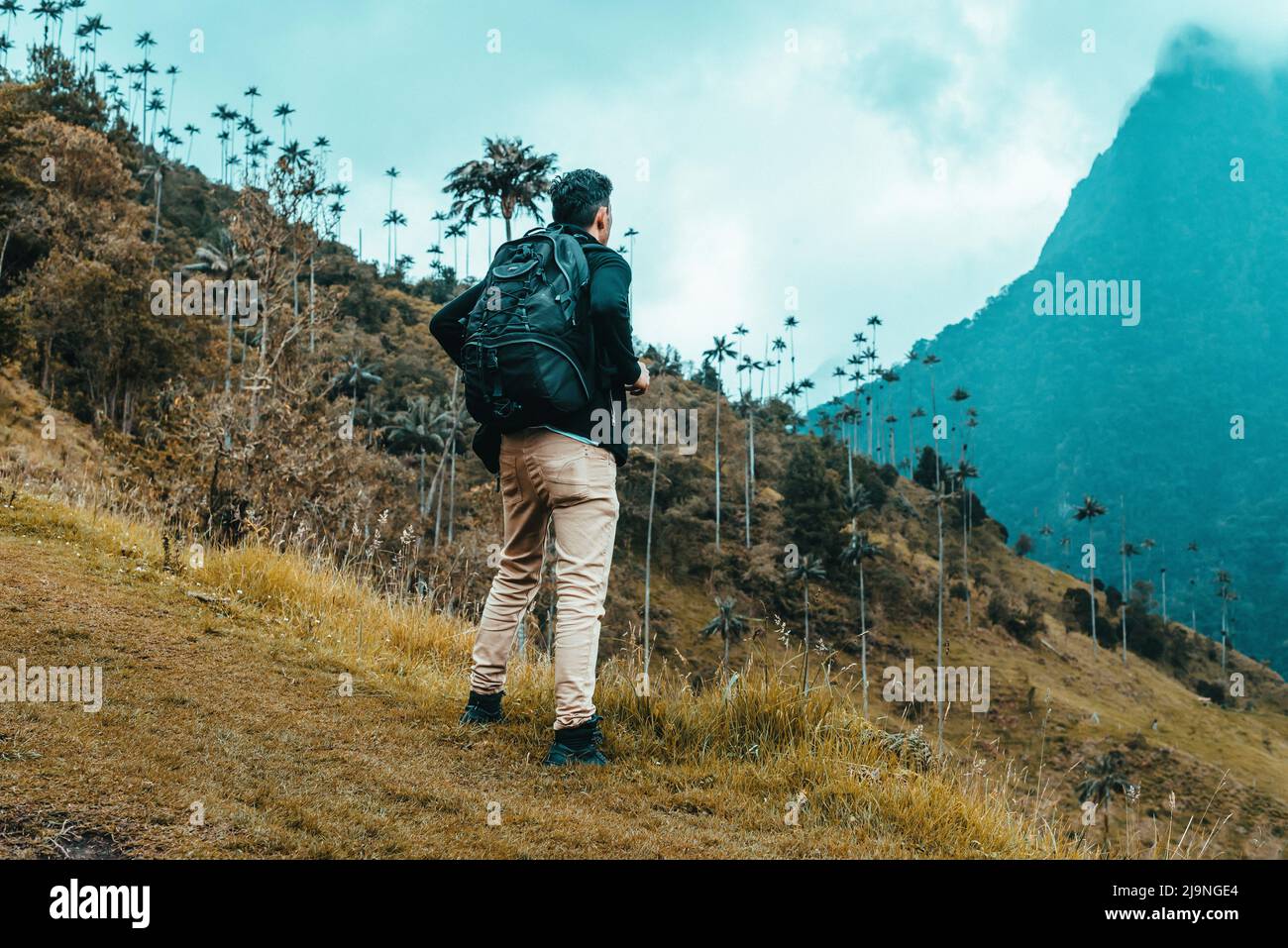 Homme touristique de montagne dans la vallée de Cocora Salento Quindio Colombie Banque D'Images