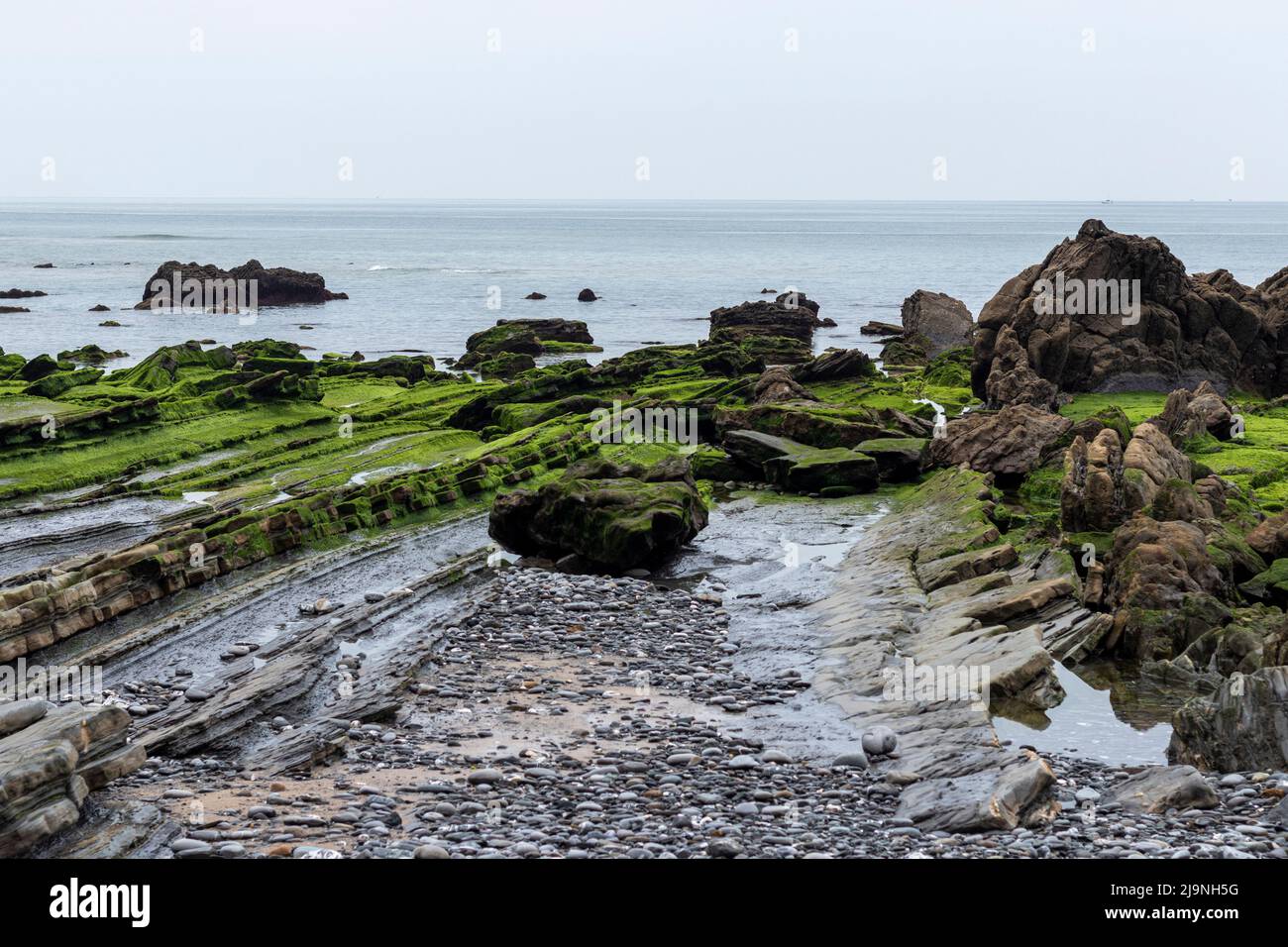 plage de barrika sur la côte basque au printemps avec les roches vertes Banque D'Images