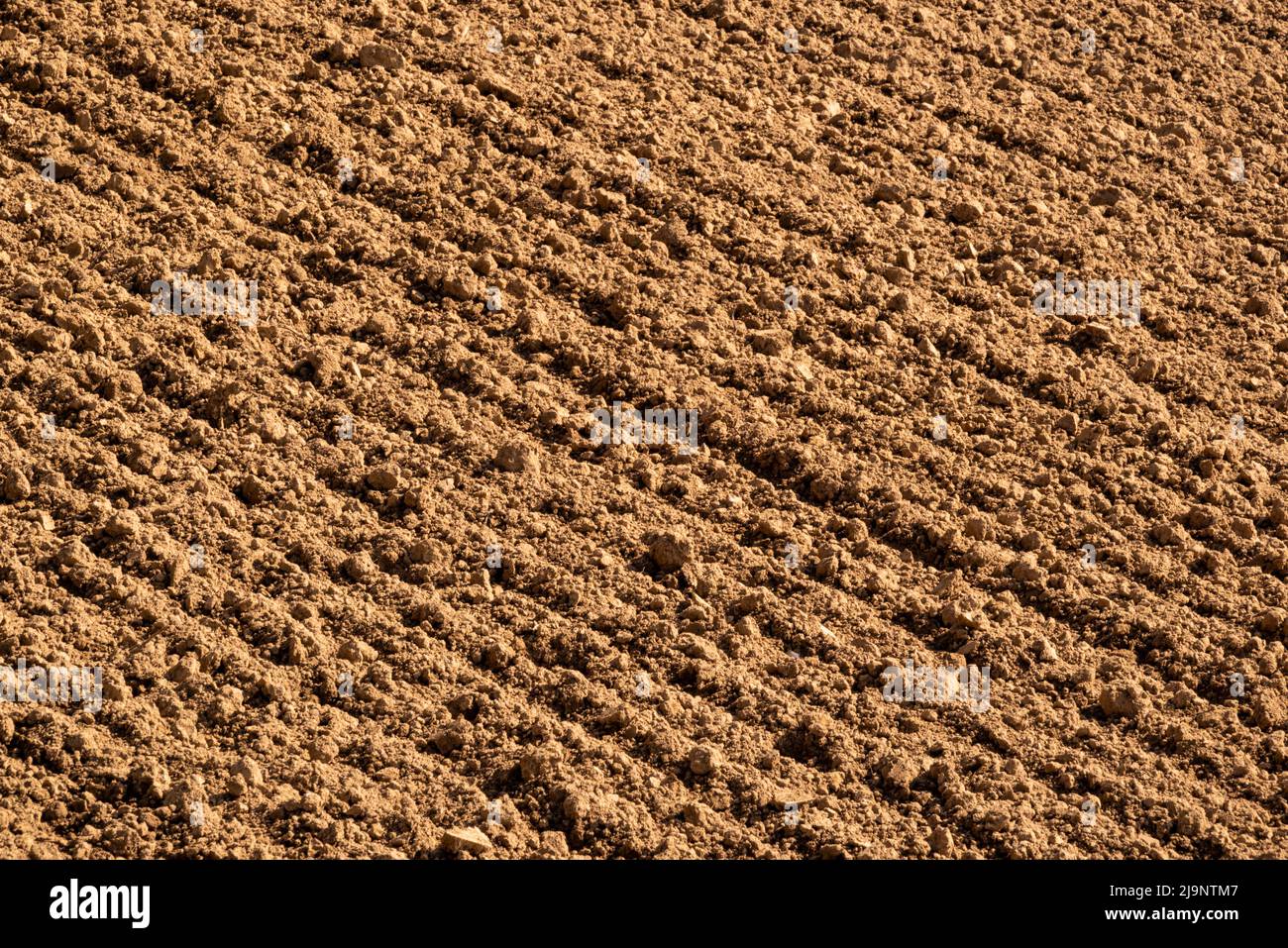 Image plein cadre de sol brun sur un champ fraîchement labouré, adaptée comme une texture de fond agricole Banque D'Images