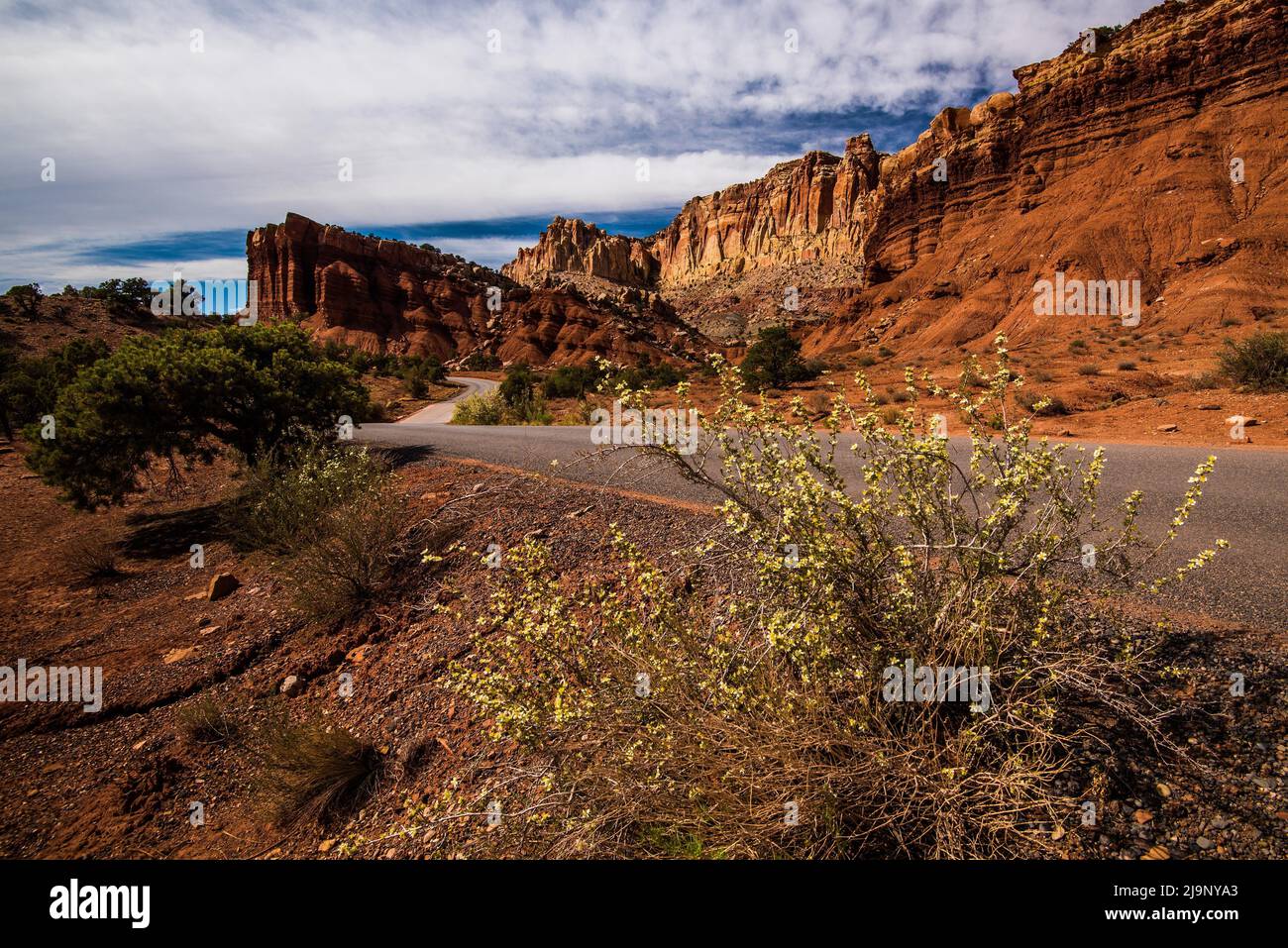 Trajet panoramique à travers le parc national de Capitol Reef, Utah, États-Unis. De belles formations géologiques, des arches, etc. Peuvent être vues dans tout le parc. Banque D'Images