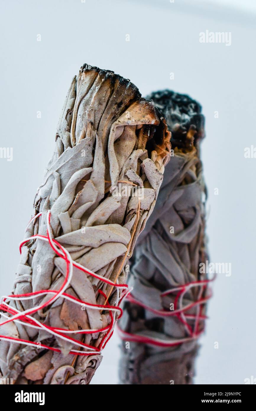 Bâton à sauge blanche séchée pour une réflexion de nettoyage dans le miroir Banque D'Images