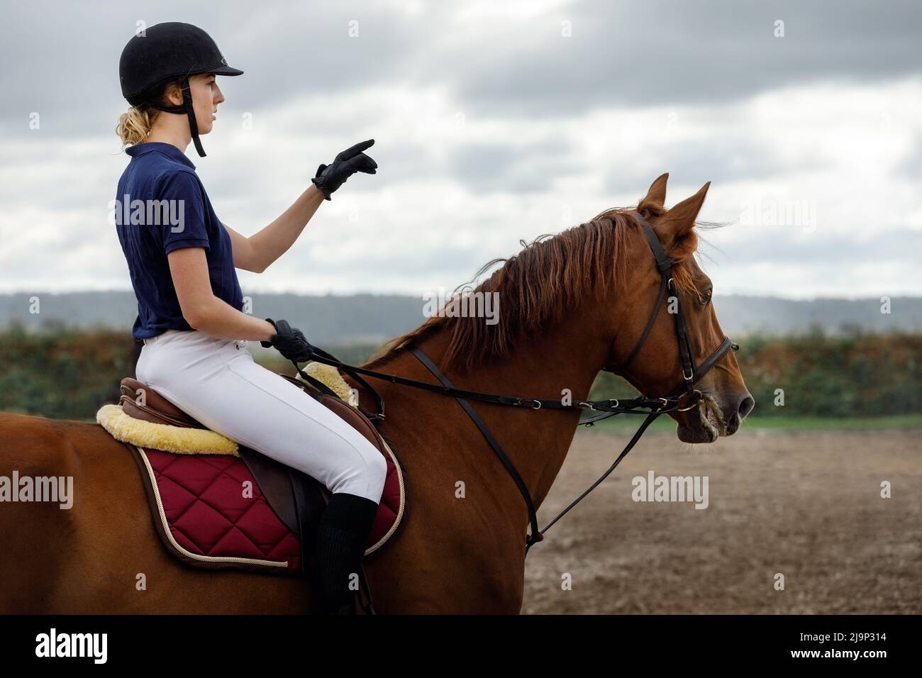 La jeune fille apprend à monter sur un cheval sur le champ d'équitation. La femme regarde la distance et planifie la route de la randonnée avec sa main. Banque D'Images