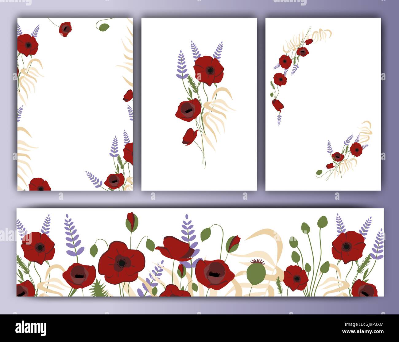 Ensemble de cadres et d'arrière-plans à motifs floraux vectoriels, style vintage tendance. Modèles vectoriels de cartes et couronnes, bordures pour le design, invitations de mariage, ba Illustration de Vecteur