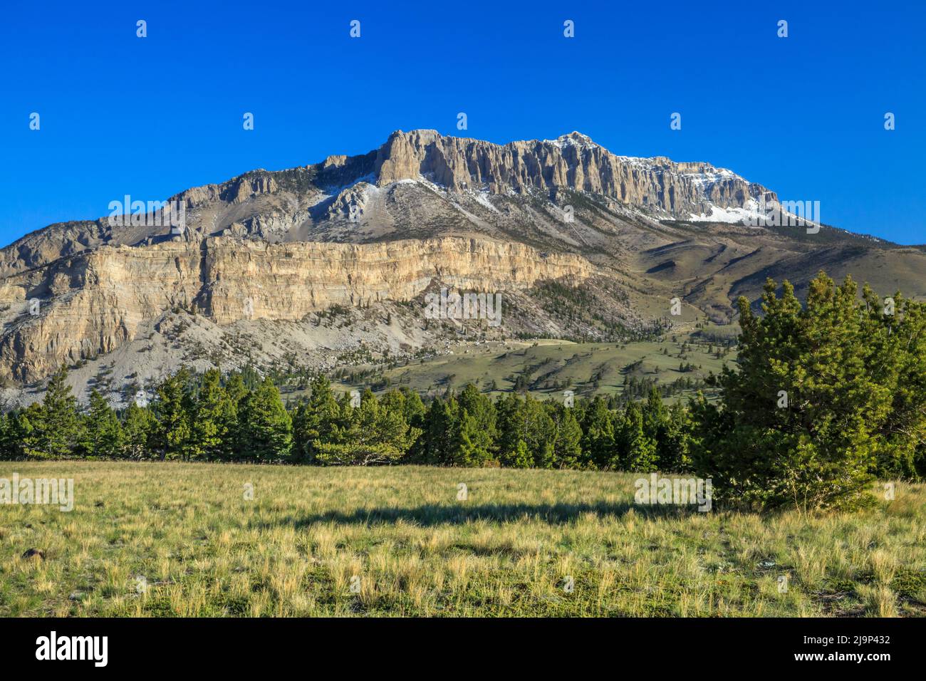 Château de corail le long de l'avant près de Rocky Mountain, montana choteau Banque D'Images
