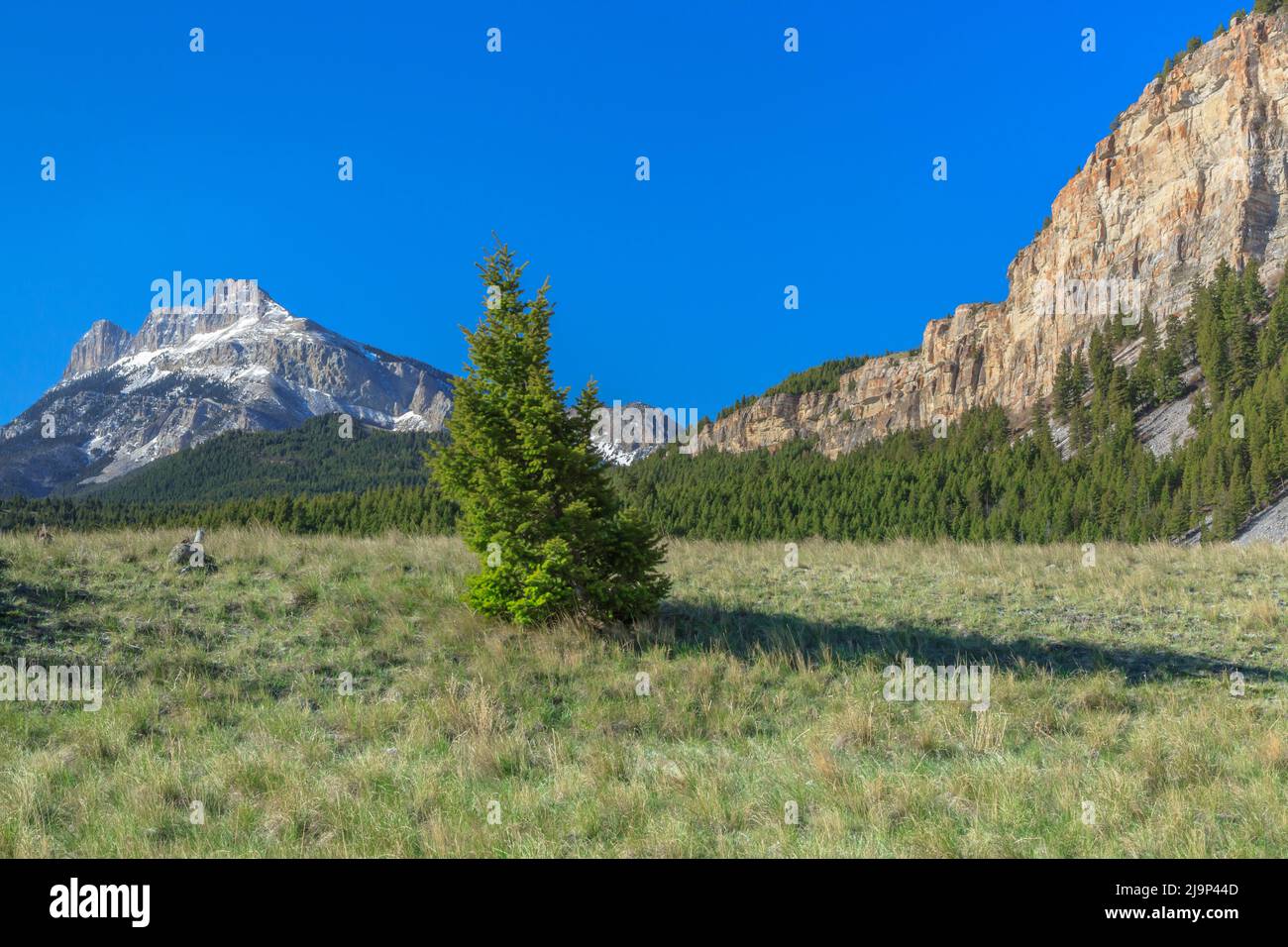 Le long de la crête de scie avant rocky mountain près de augusta, Montana Banque D'Images
