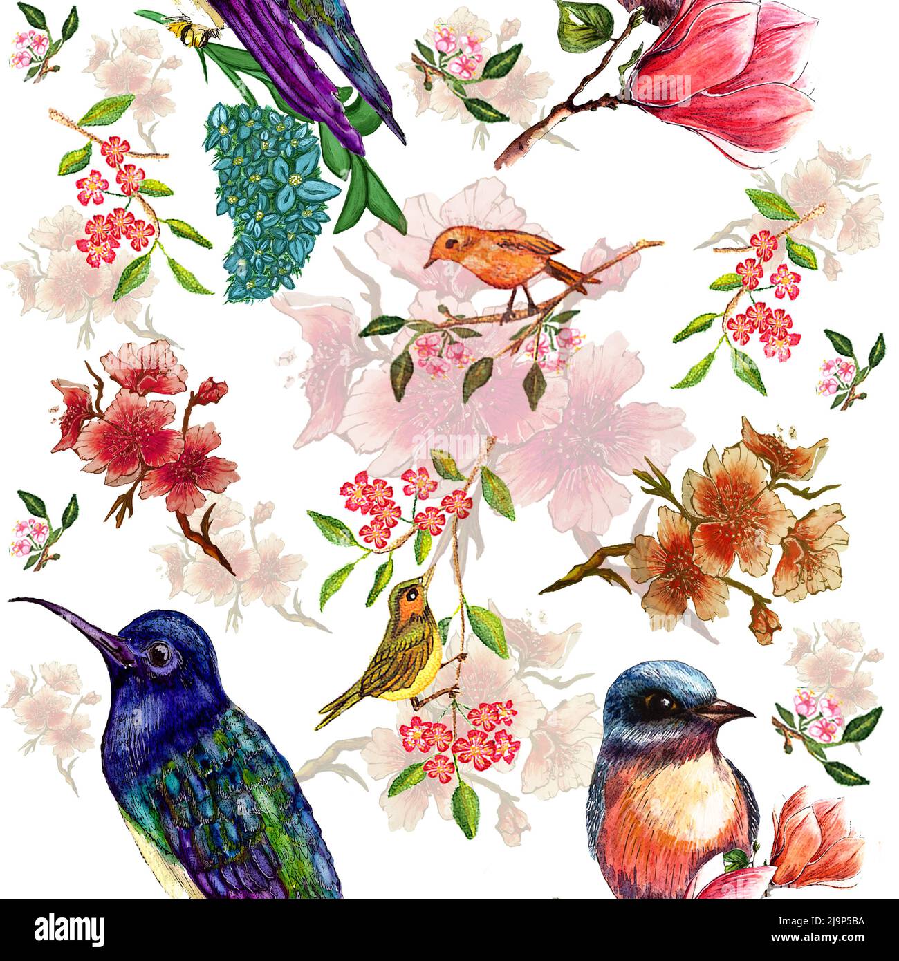 Motif aquarelle sans couture avec branche florissante de cerisier, magnolia et oiseaux, colibri sur fleurs d'Hydrangea, sur fond blanc Banque D'Images