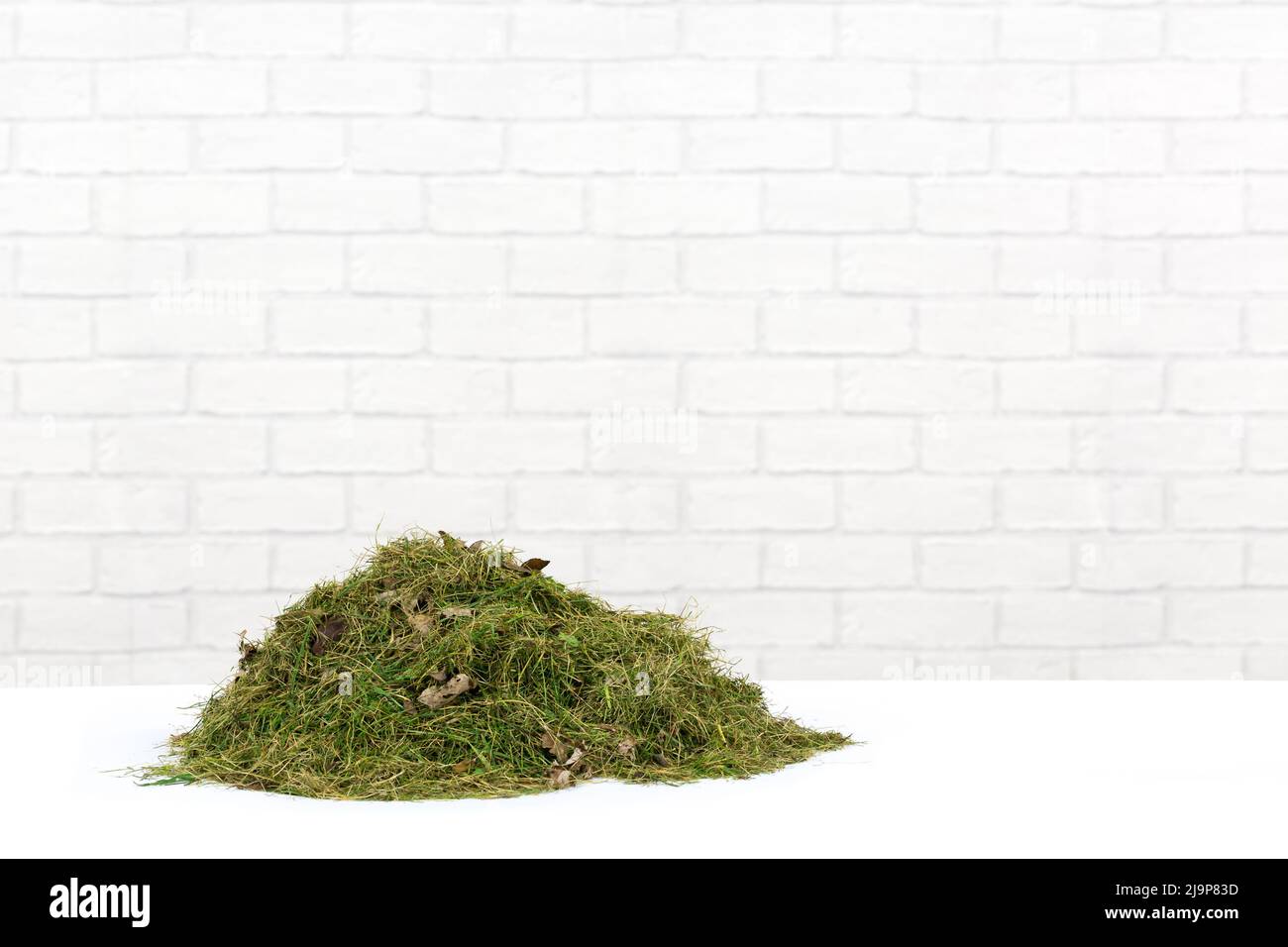 Jardinage tas de boutures d'herbe sur une surface blanche et propre, avec fond de brique blanche moderne Banque D'Images