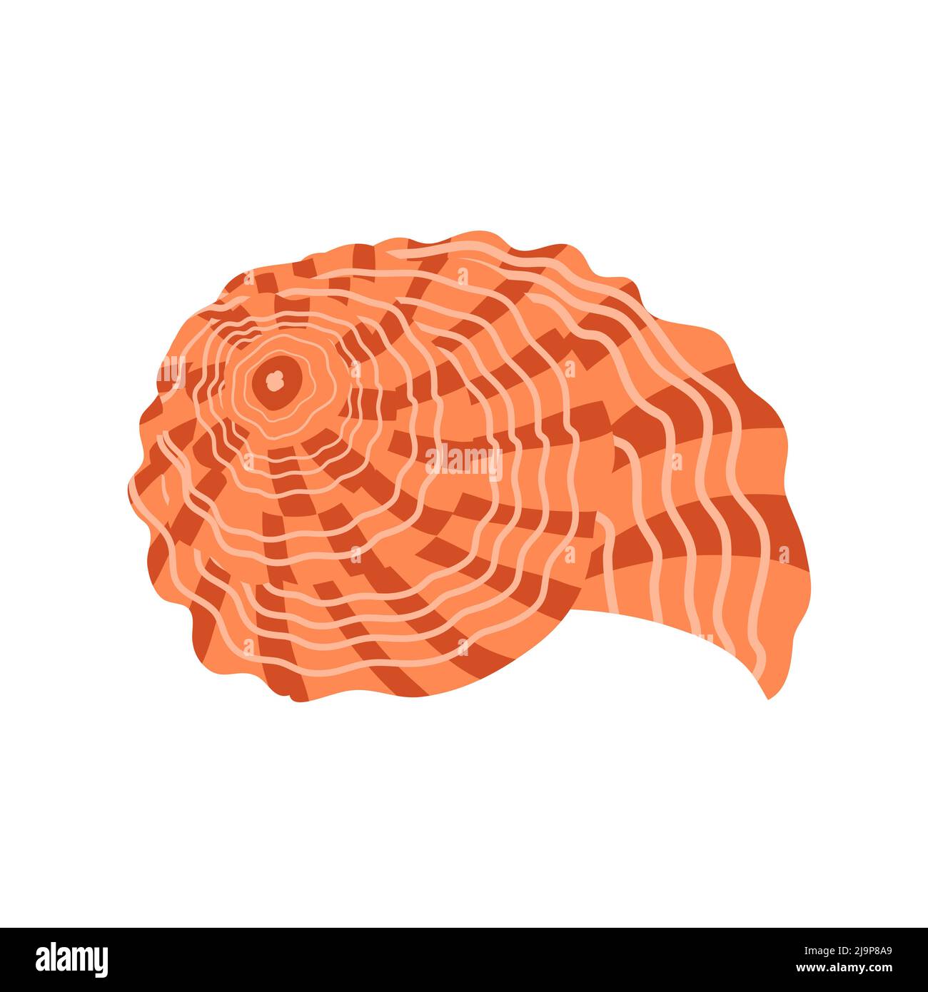Coquille d'escargot. Marin sous-marin en bord de mer torsadé. Forme en spirale. Mollusque sous-marin. Animaux et faune. Illustration vectorielle plate isolée sur b blanc Illustration de Vecteur