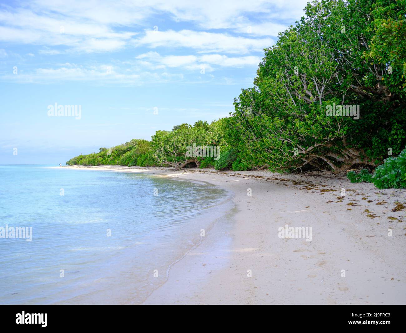 Kondoi Beach, l'île de Taketomi, Okinawa Prefecture, Japan Banque D'Images