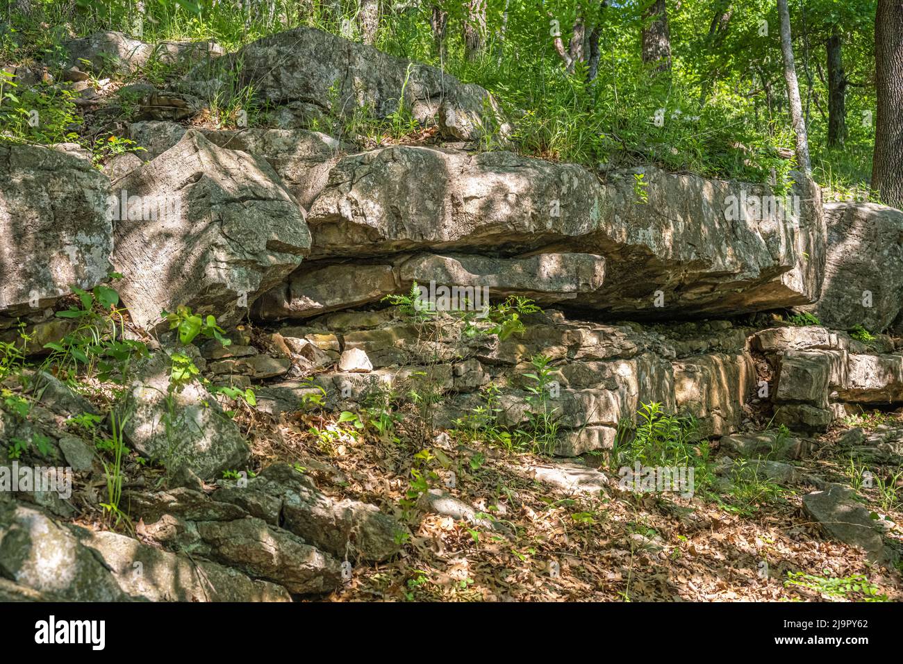 La lumière de l'applique brille à travers le feuillage printanier le long du lac fort Gibson, sur la piste fossile du parc national Sequoyah, dans le comté de Cherokee, en Oklahoma. (ÉTATS-UNIS) Banque D'Images