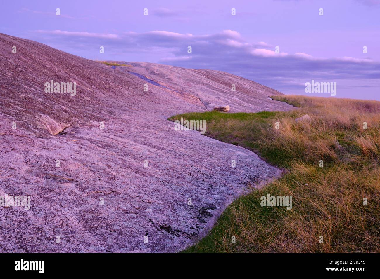 Rock Dog Rocks Banque D'Images