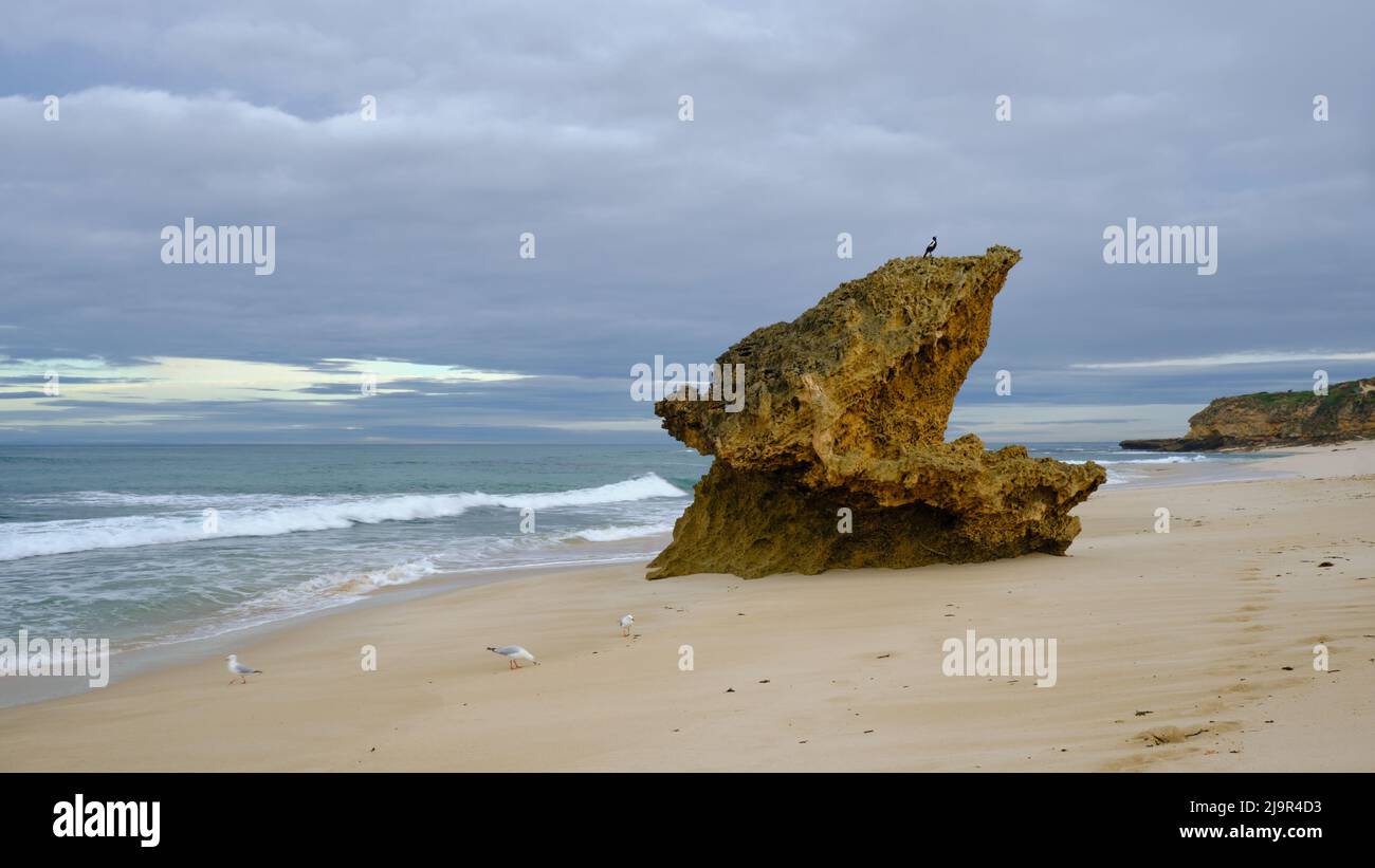 Lizard Head Rock Banque D'Images