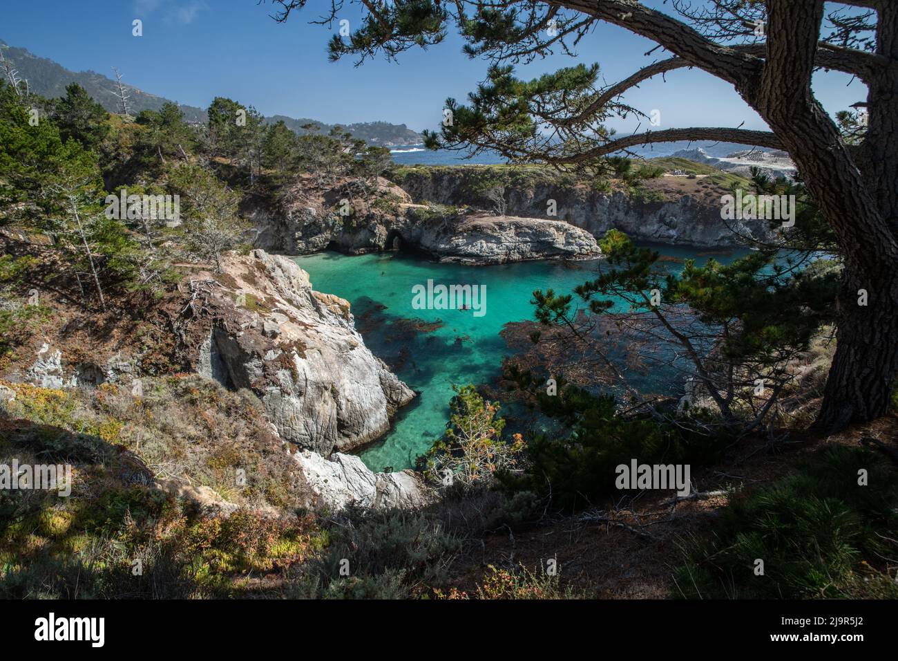 La côte de la réserve d'État de point Lobos à Monterey, en Californie, est un paysage incroyablement beau avec des falaises, des eaux turquoise et des arbres. Banque D'Images