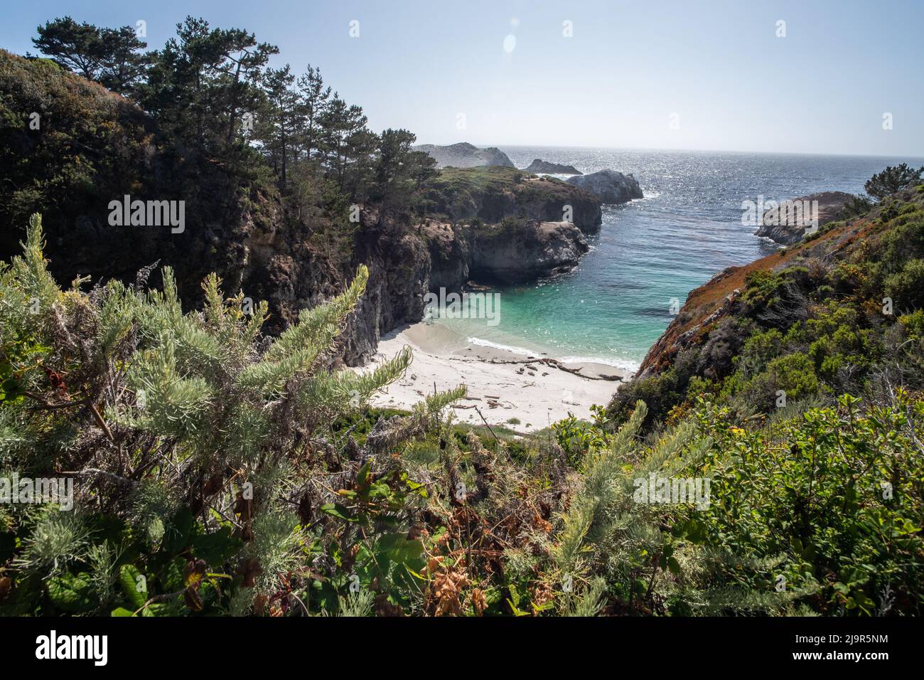 La côte de la réserve d'État de point Lobos à Monterey, en Californie, est un paysage incroyablement beau avec des falaises, des eaux turquoise et des arbres. Banque D'Images