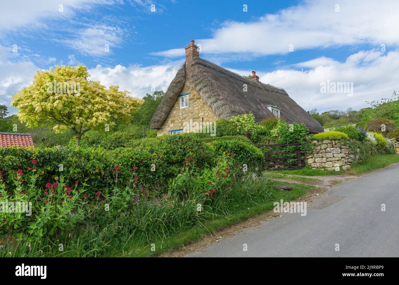 Rievaulx, North Yorkshire, Royaume-Uni. Mai 21 2022. Un cottage en boîte de chocolat avec toit de chaume dans le village tranquille et pittoresque de Rievaulx dans le nord de l'y Banque D'Images