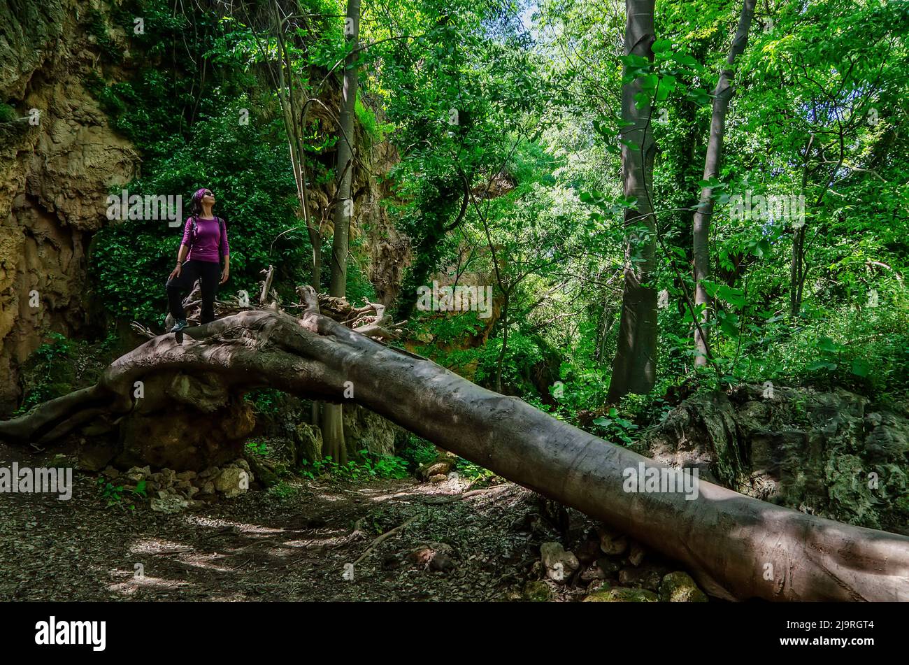 Fille portant la beauté de la forêt sur un tronc tombé Banque D'Images