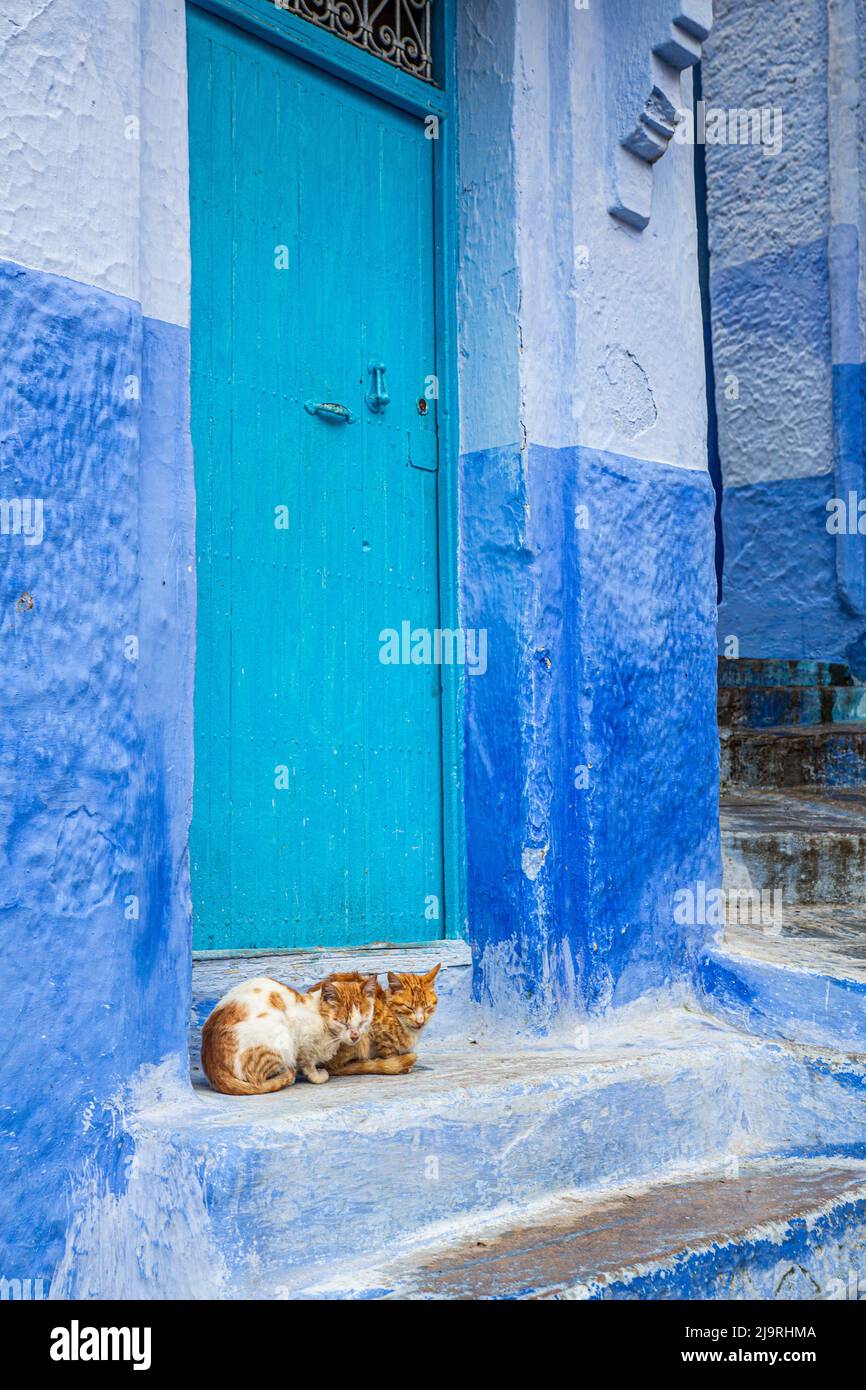 Chefchaouen, Maroc. Architecture marocaine Banque D'Images