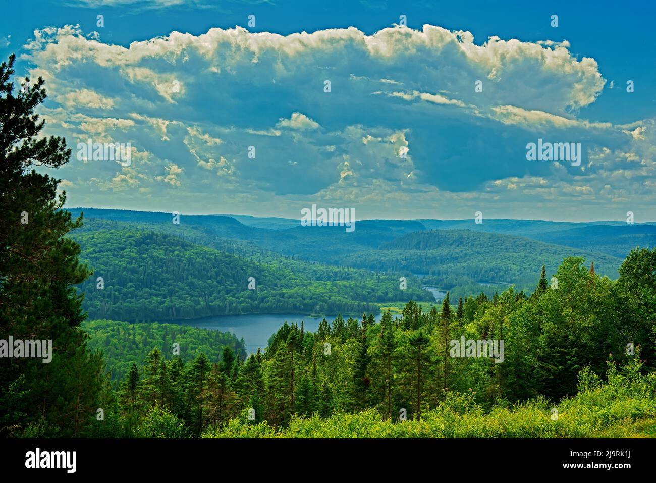 Canada, Québec, Parc national de la Mauricie. Forêt et paysage de lac. Banque D'Images
