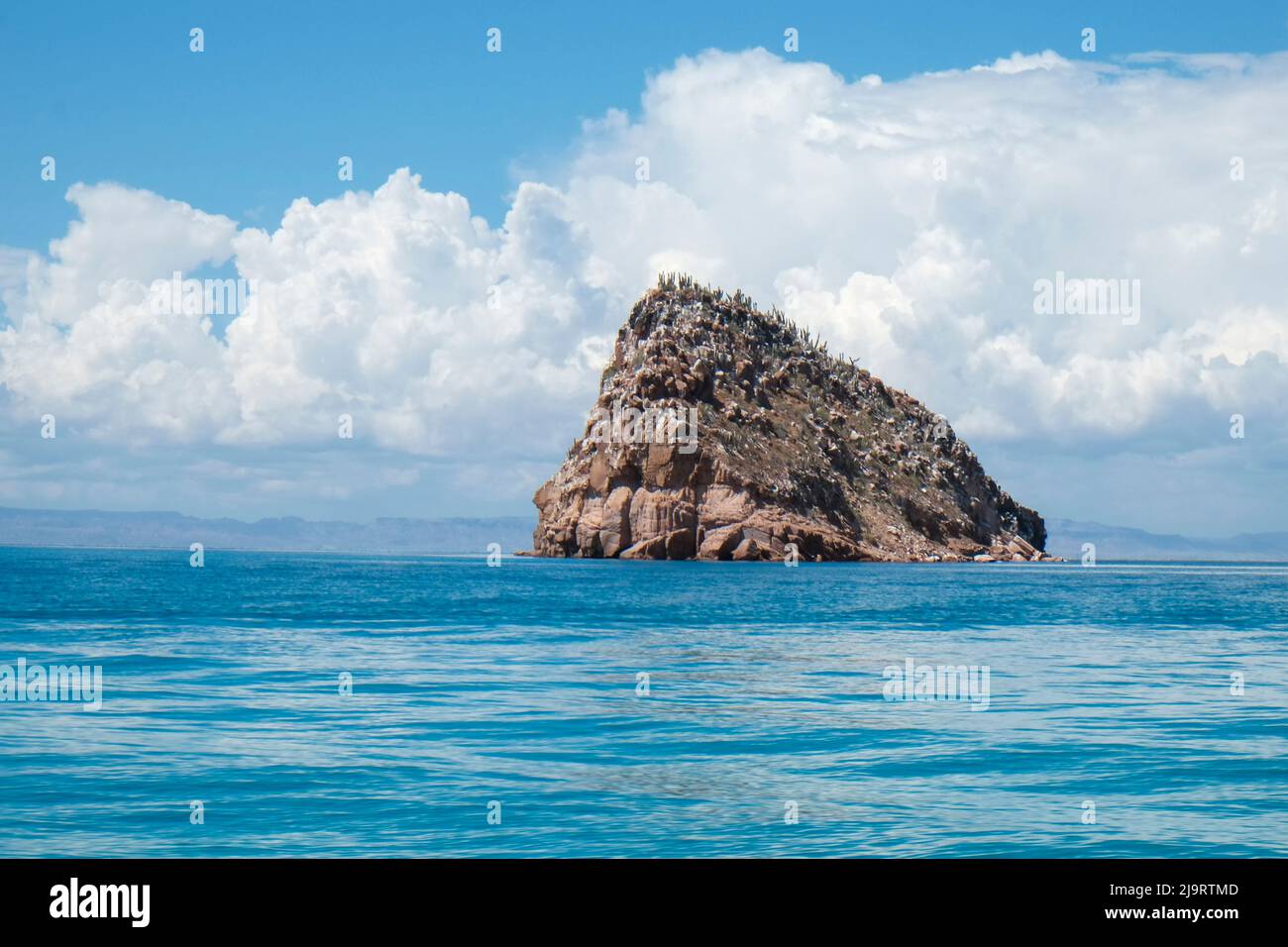 Baja Californie, Mexique. Mer de Cortez. Île. Banque D'Images