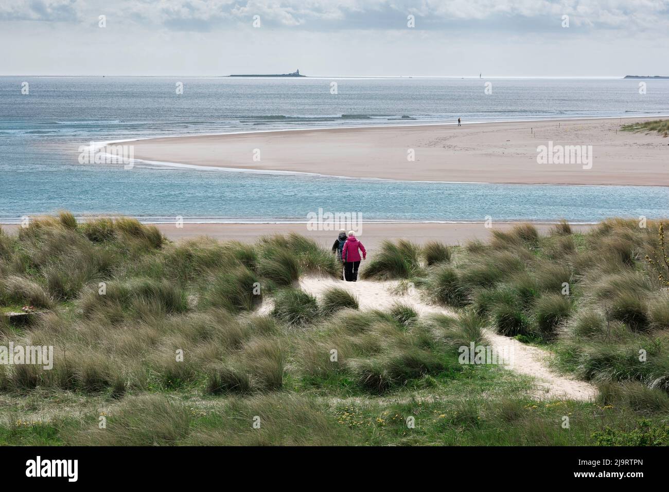 Couple senior actif, vue arrière d'un couple senior seul marchant à travers les dunes de sable vers une plage vide, côte de Northumberland, Angleterre, Royaume-Uni Banque D'Images