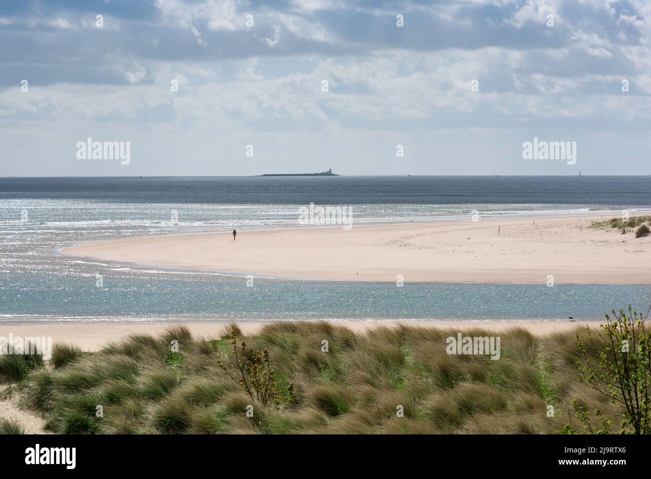 Côte de Northumberland, vue à la fin du printemps des dunes et de la plage de sable blanc dans la baie d'Alnmouth sur la côte de Northumberland, Alnmouth, Angleterre, Royaume-Uni Banque D'Images