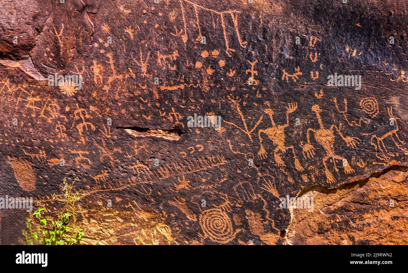 Pétroglyphes indiens, journal Rock, parc national de Petrified Forest, Arizona. Symboles anciens créés entre 1499 BC et 1000 AD rayés sur le rocher Banque D'Images