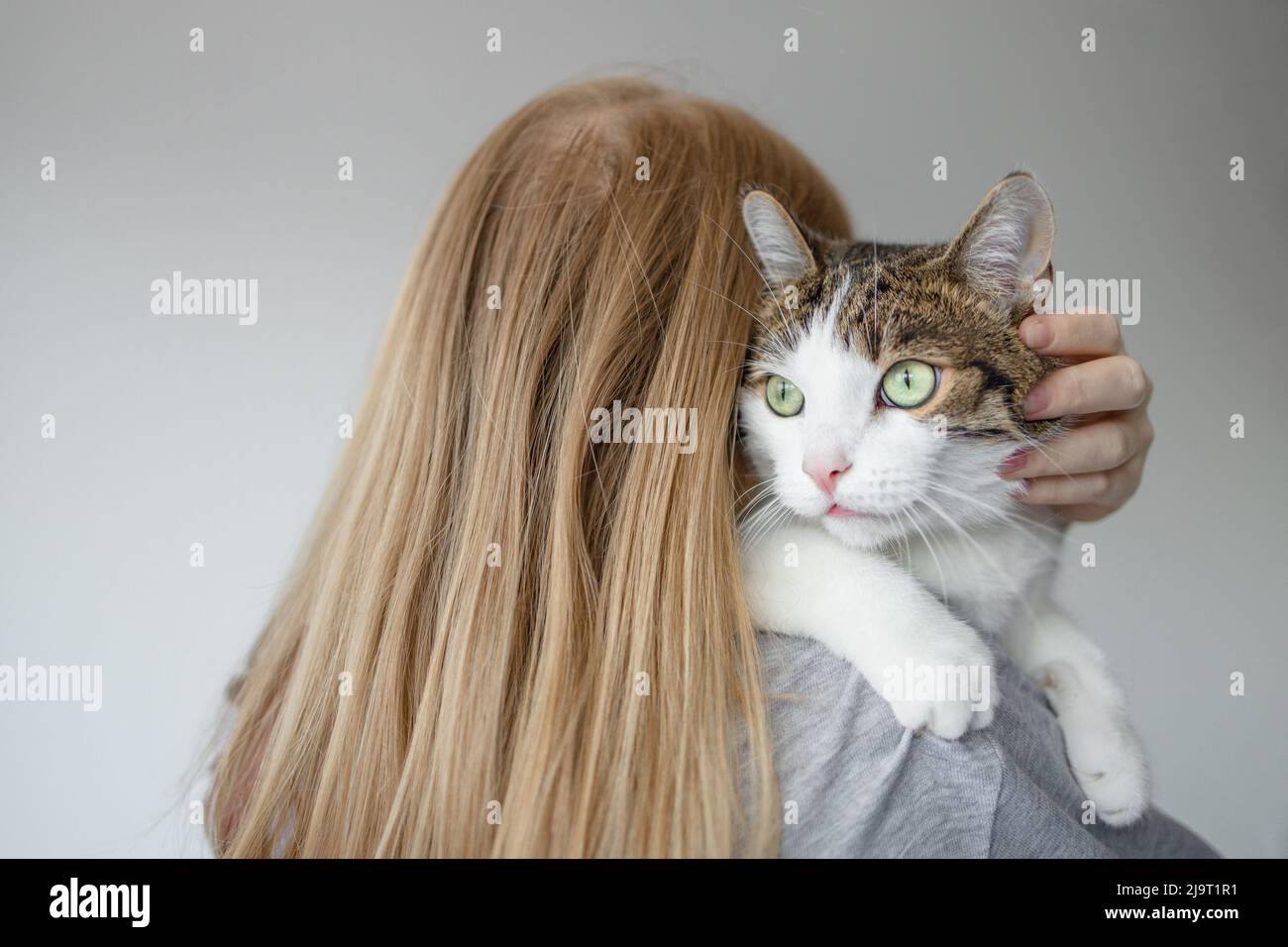 Portrait d'une jeune blonde 30s femme tenant un joli chat tabby avec des yeux verts. Femelle qui embrasse le chat dans les mains Banque D'Images