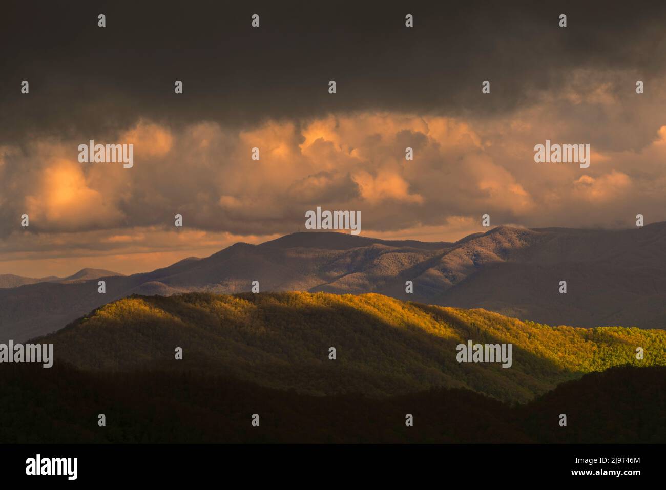 Vue printanière des montagnes lointaines et de la vallée de Deep Creek, parc national des Great Smoky Mountains, Caroline du Nord Banque D'Images